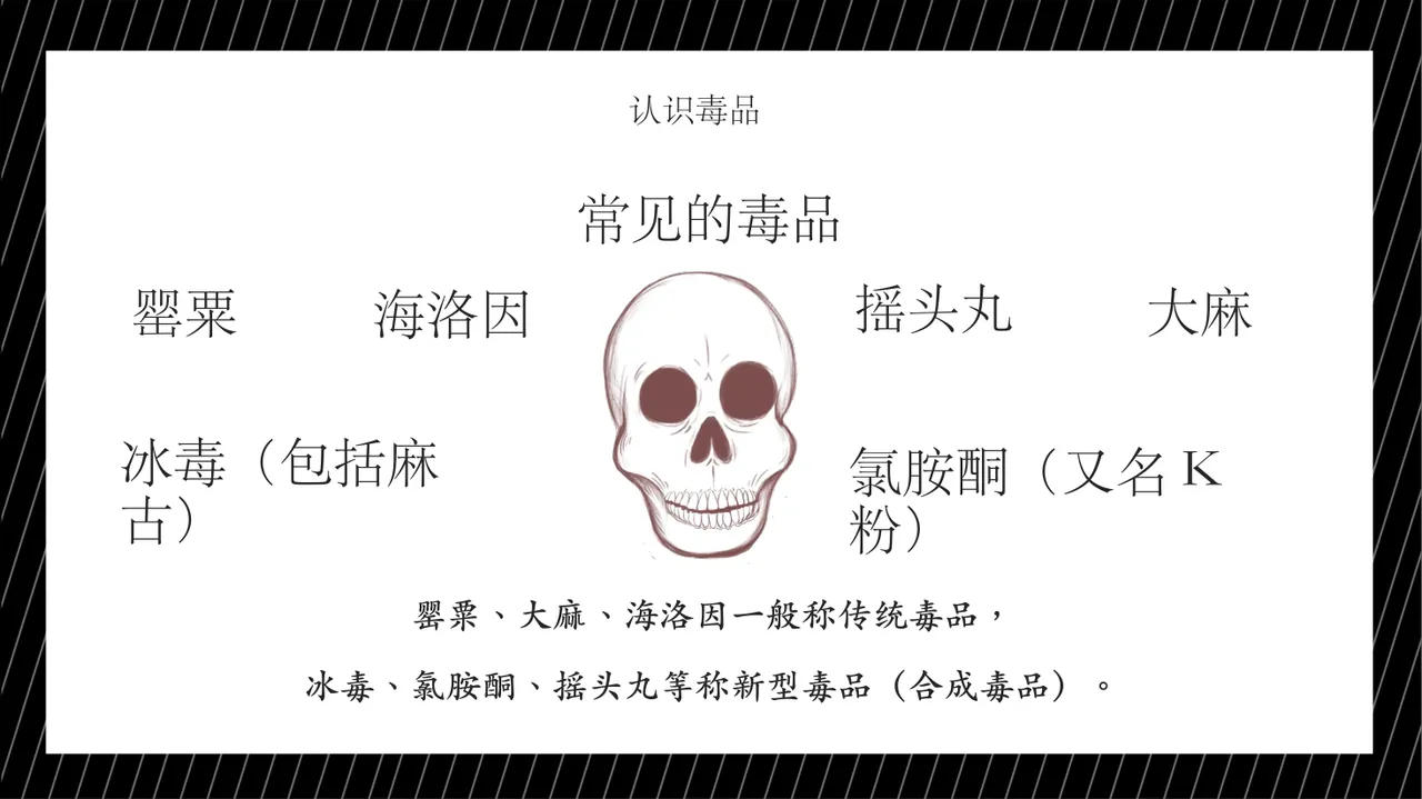 无毒青春 健康生活 第6页