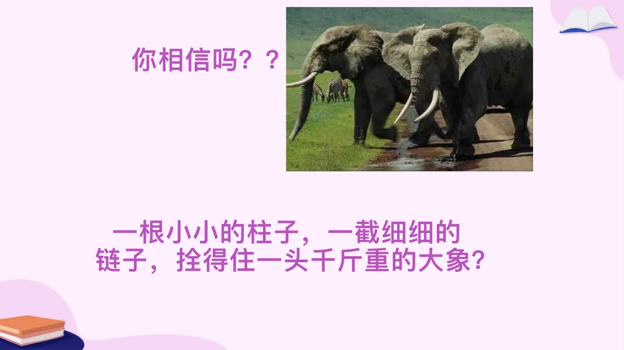 PPT幻灯片 3